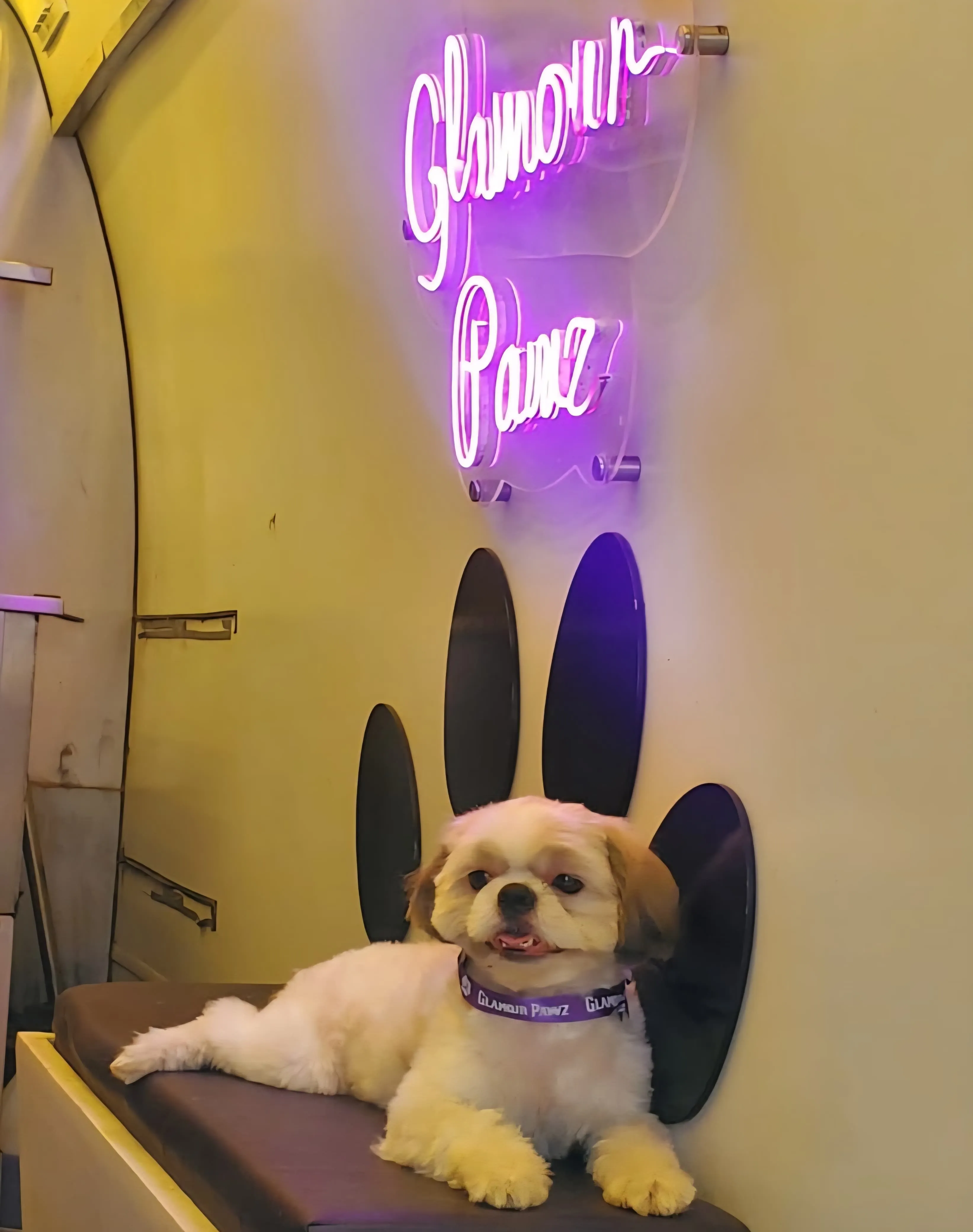 Happy Dog 2