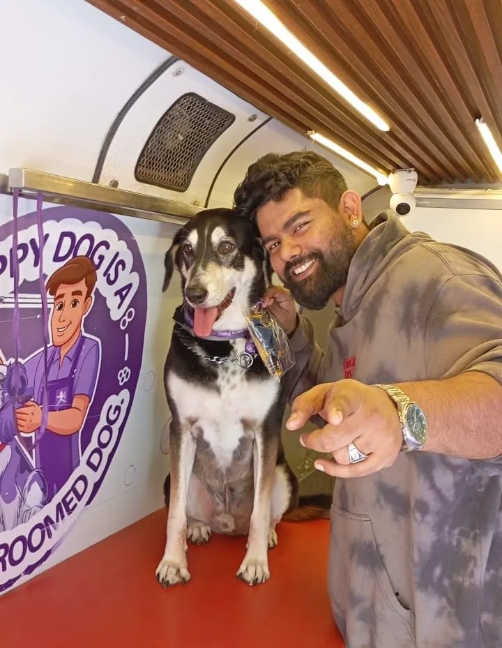 Happy pet