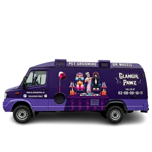 Glamour Pawz pet grooming van